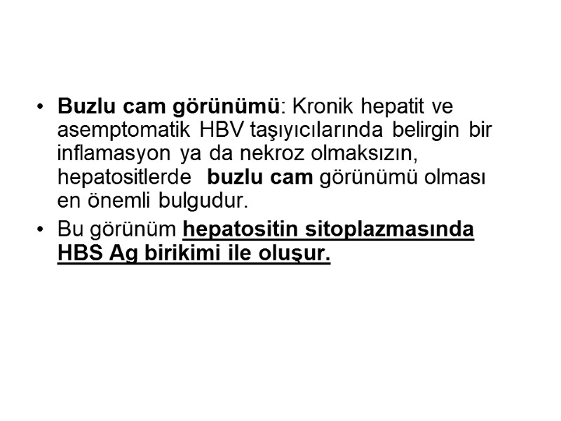 Buzlu cam görünümü: Kronik hepatit ve asemptomatik HBV taşıyıcılarında belirgin bir inflamasyon ya da